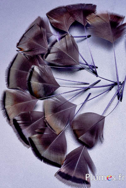 Petali in piume - 6-8 x 3-4 cm - grigi-antracite metallizzato